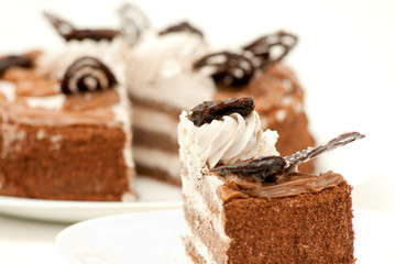 piece of fresh and sweet dessert cakes