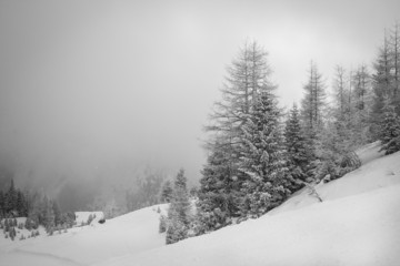 Lots of snow in the Alps