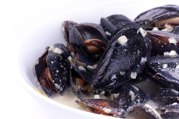 close up picture of mussels