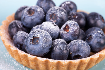 blueberries tart on the blue background