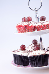 cupcakes on the tray