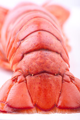 close up lobster tail