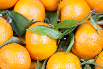 background of satsumas