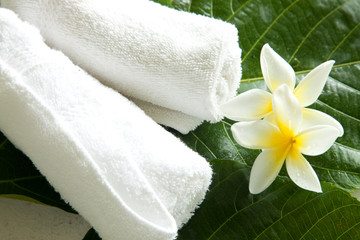 Fototapeta na wymiar towels on green leaf