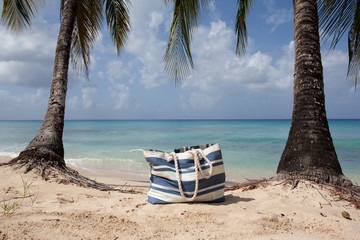 beach bag and palm trees