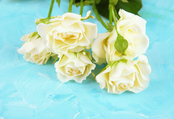 Beautiful white roses close-up, on color background