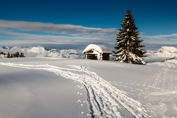 Fototapeta na wymiar Small Hut and Fir Tree on the Top of the Mountain in French Alps