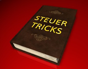 3D Buch II - STEUERTRICKS