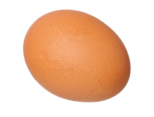 Brown egg on white background