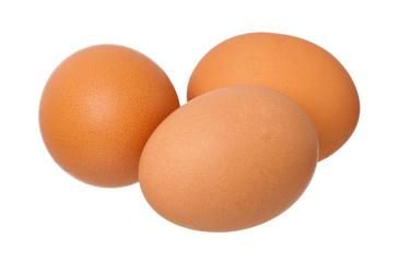 eggs on a white background