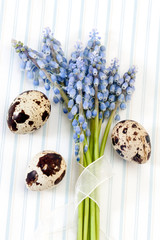 quail eggs
