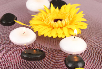 spa stones with flower and candles in water on plate