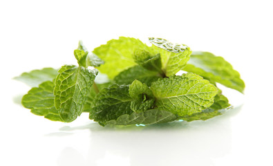 Mint isolated on white