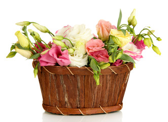 Bouquet of eustoma flowers in wicker basket isolated on white