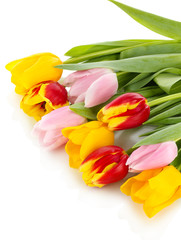 Obraz premium Beautiful tulips in bucket isolated on white