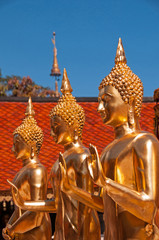 Doi Suteph3