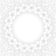 white background