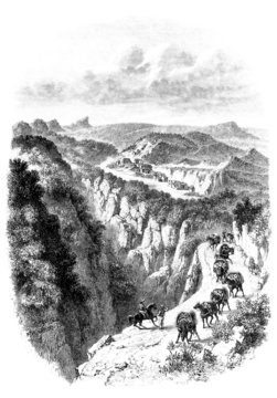Adventurers : Wild West - (Gold Mines - Brasil) 19th century