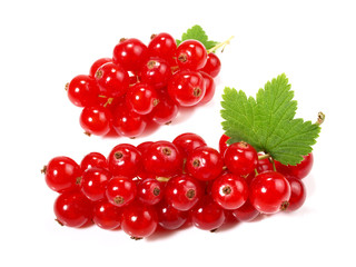Johannisbeeren - rot