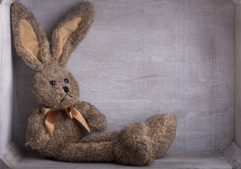 hase