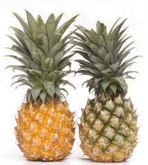 Fototapeta premium Pineapple isolated on the white background