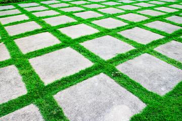 Green grass growth between cement walkway