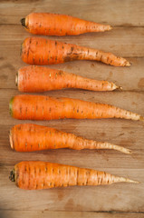 carottes