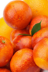 Blood Oranges