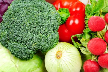 Different raw vegetables