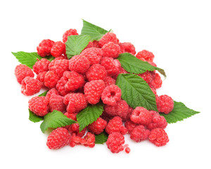 Fresh raspberry