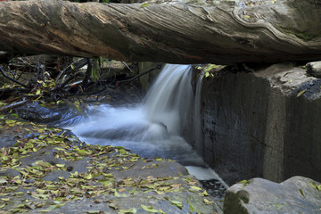 Naklejka premium waterfall in deep forest