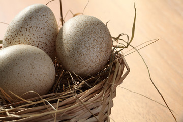 Osterei