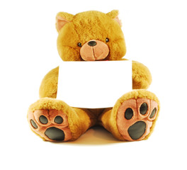 teddy bear with message