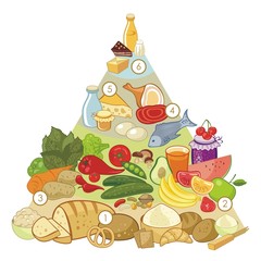 Omnivore Food Pyramid