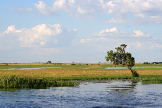 Fiume zambesi