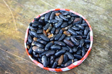 graines d'haricots verts pour planter