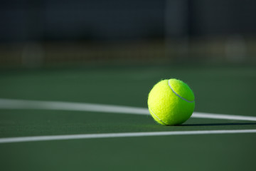 Tennis Ball on the Court