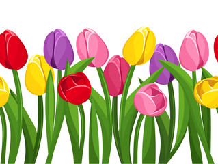 Horizontal seamless background with colored tulips. Vector.