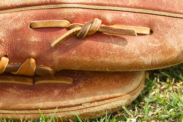 Baseball Glove Close Up