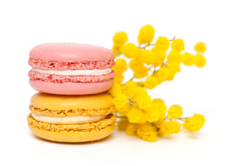 macarons and mimosa flower