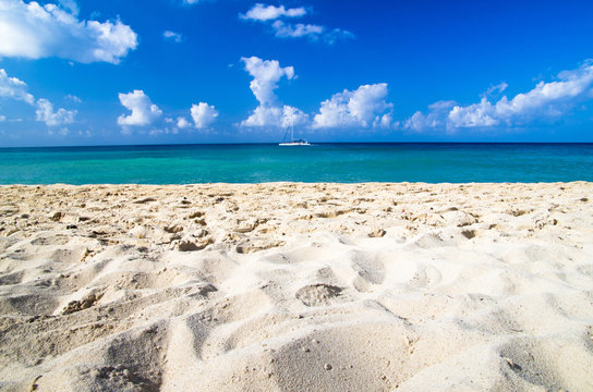 Fototapeta caribbean sea beach