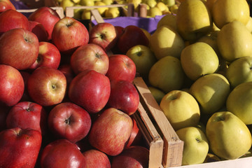 Deposit boxes of organic apples