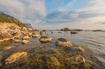 Sea, shore and stones