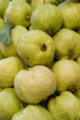 guava