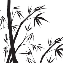 Naklejka premium Bamboo isolated illustration.