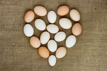 Fresh eggs