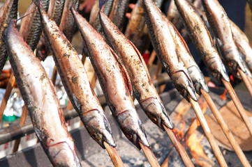 Mackerel on a Stick !