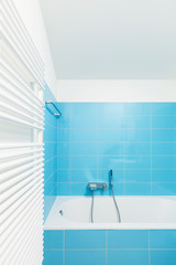 Modern house interior, bath and bathroom,