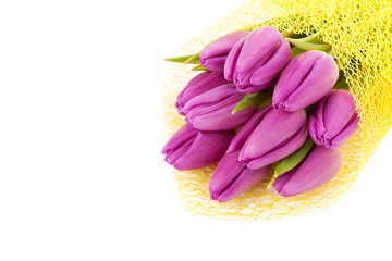 Purple tulips in yellow lace on white