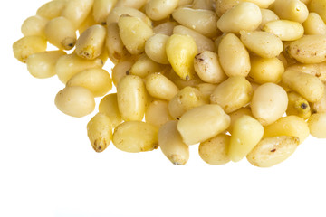 cedar nuts